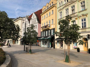 Отель Apartmán Orchidej u Vřídla  Карлсбад